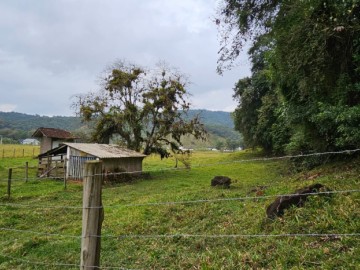 Terreno - Venda - Taquara - Santo Amaro da Imperatriz - SC